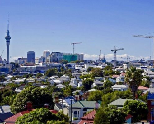 Senior Project Manager Role - Auckland