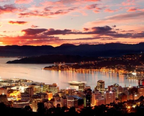 Wellington - Senior QA role